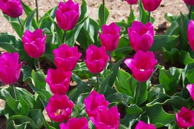 Прикрепленное изображение: LUKA6384.jpg